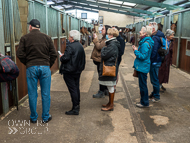 CH290522-94 - Charlie Hills Stable Visit